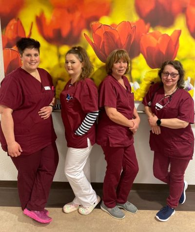 Unsere Nachtschwestern